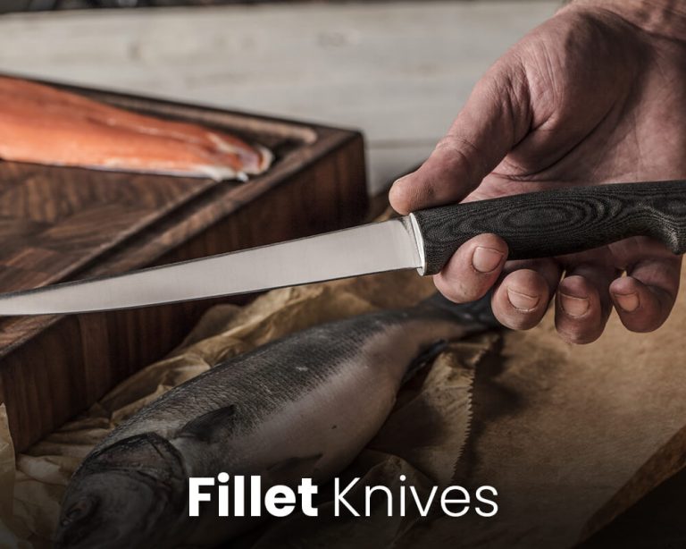 fillet-cat-768×614